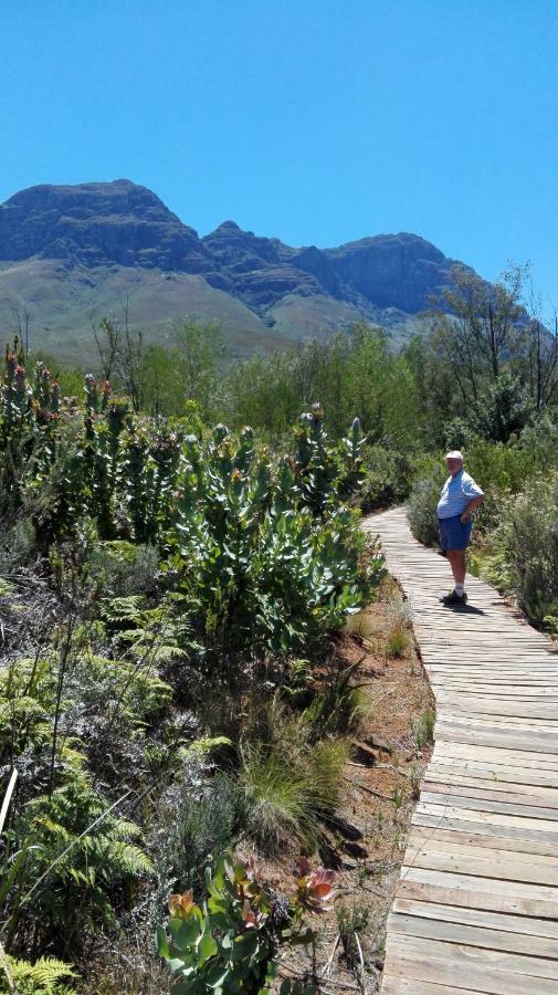 The Greens Leilighet Somerset West Eksteriør bilde